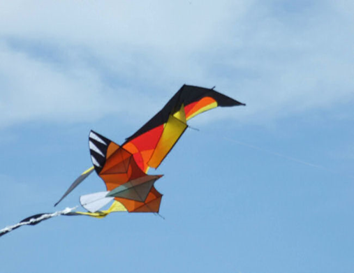 Vlieger in de lucht